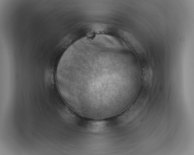 X0000111940313200908031143