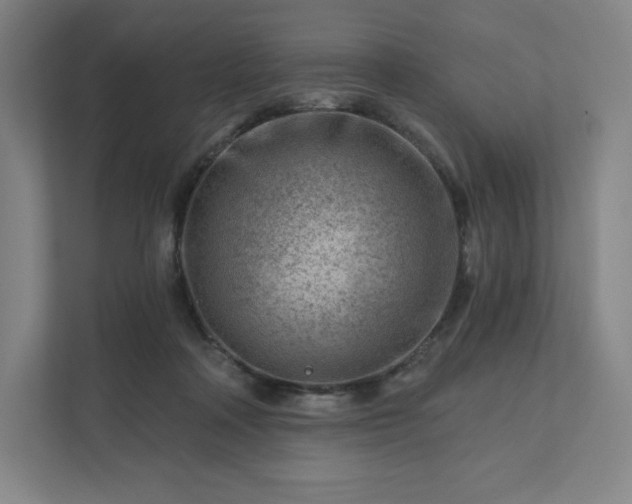 X0000111940314200908031143