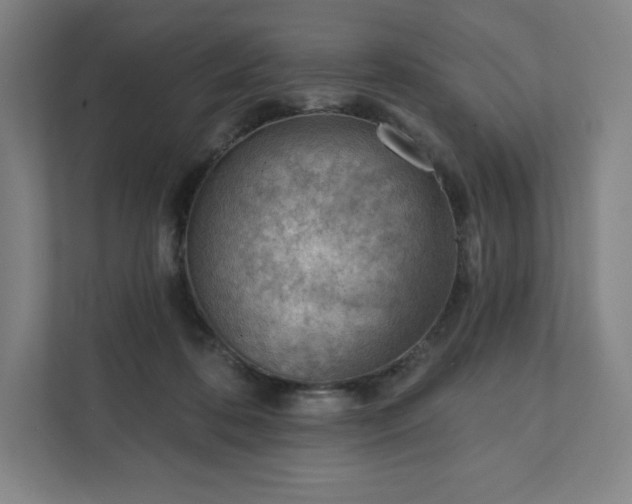 X0000111940316200908031143