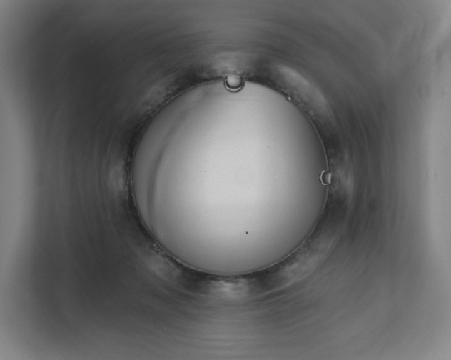 X0000111940317200908031143