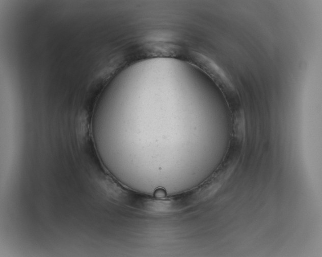 X0000111940318200908031143