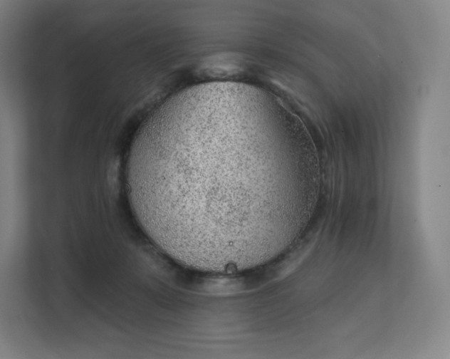 X0000111940319200908031143