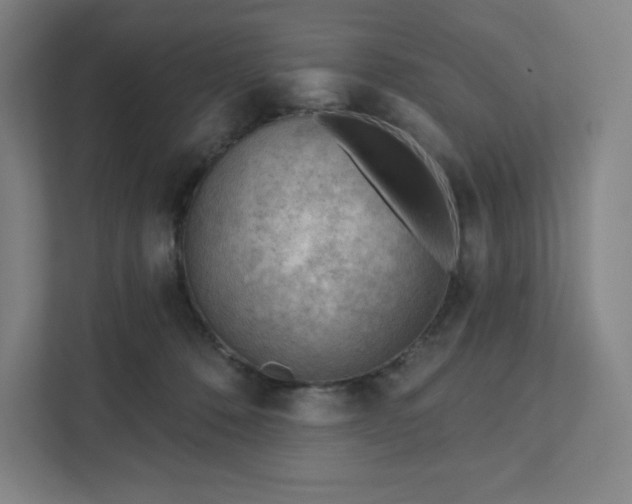 X0000111940320200908031143