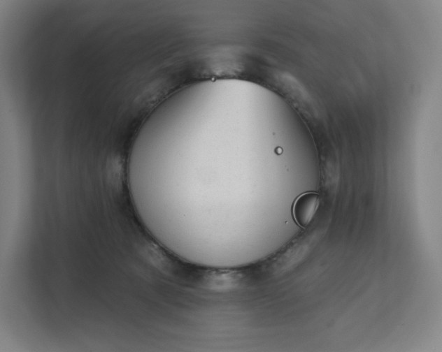 X0000111940321200908031143