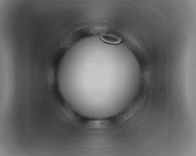 X0000111940323200908031143