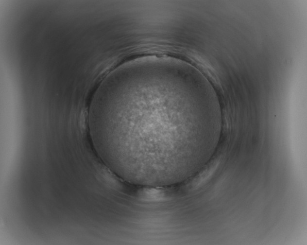 X0000111940325200908031143