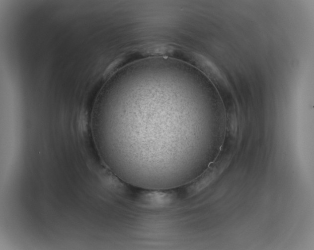 X0000111940326200908031143