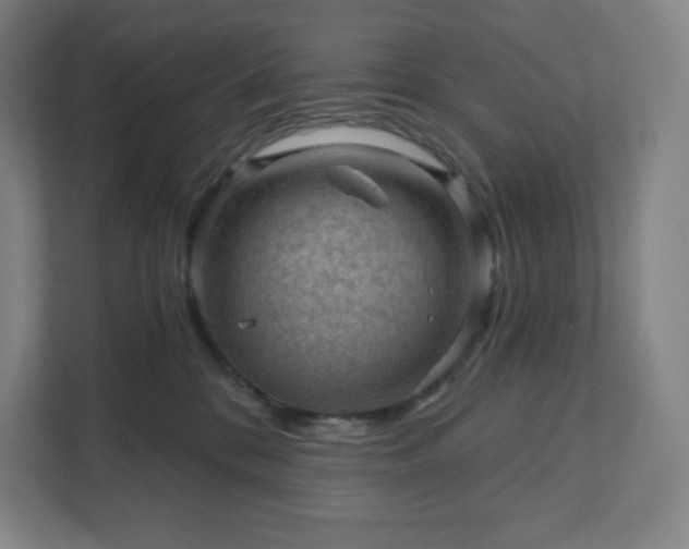 X0000111940328200908031143