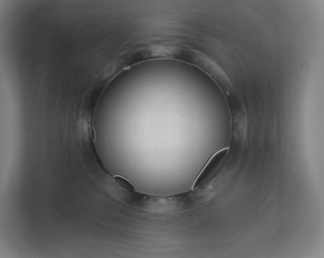 X0000111940329200908031143