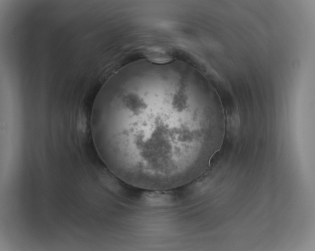 X0000111940331200908031143