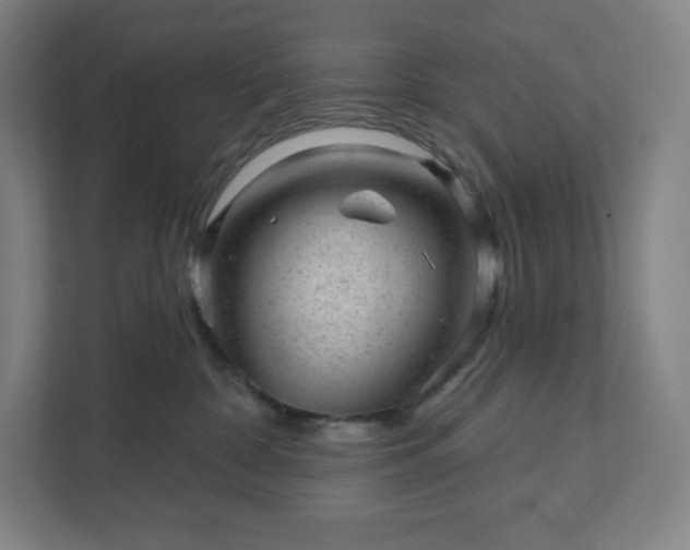 X0000111940332200908031143