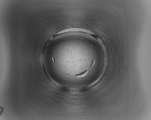 X0000111940336200908031143