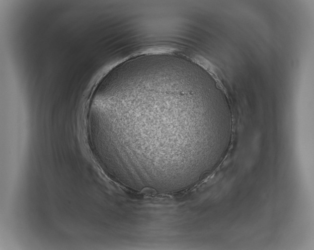 X0000111940337200908031142