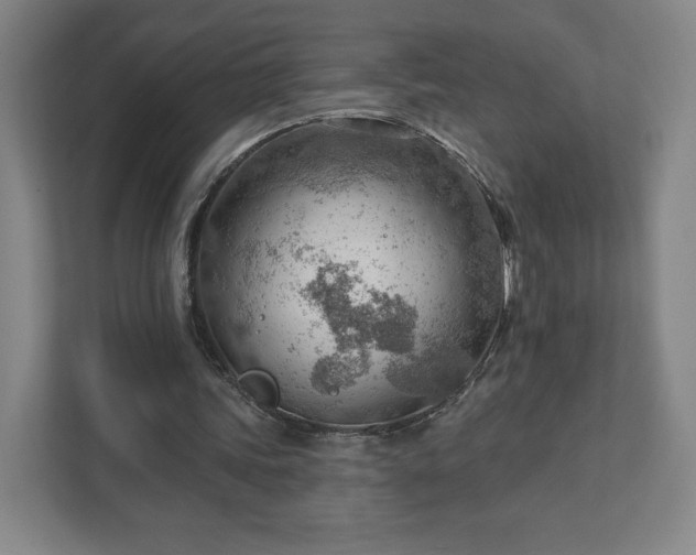 X0000111940339200908031142