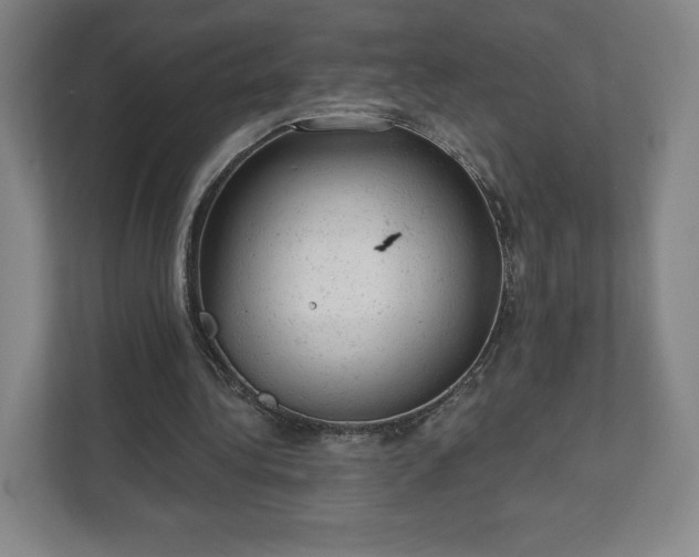 X0000111940340200908031142