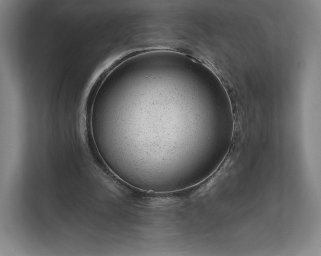 X0000111940342200908031142