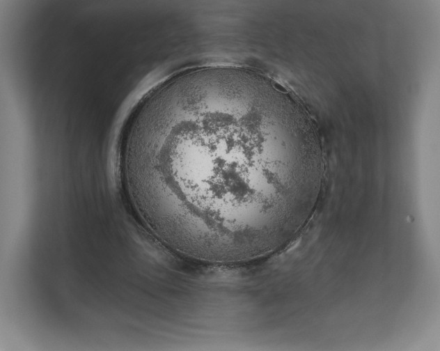 X0000111940343200908031142