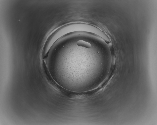 X0000111940344200908031142