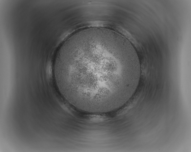 X0000111940347200908031142