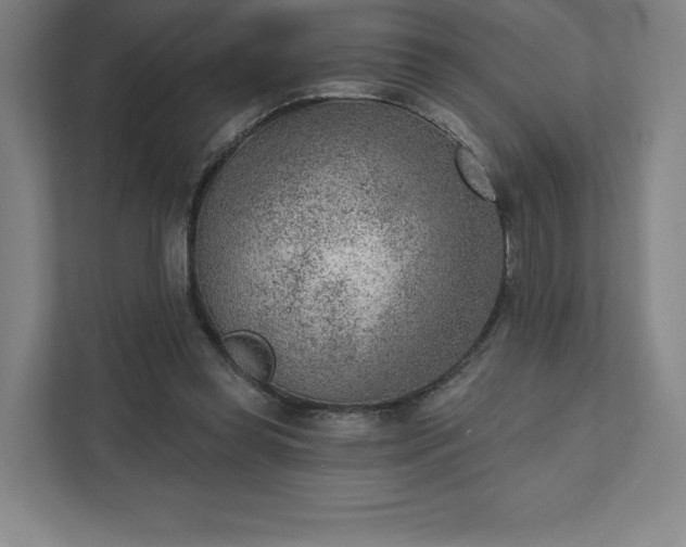 X0000111940349200908031142