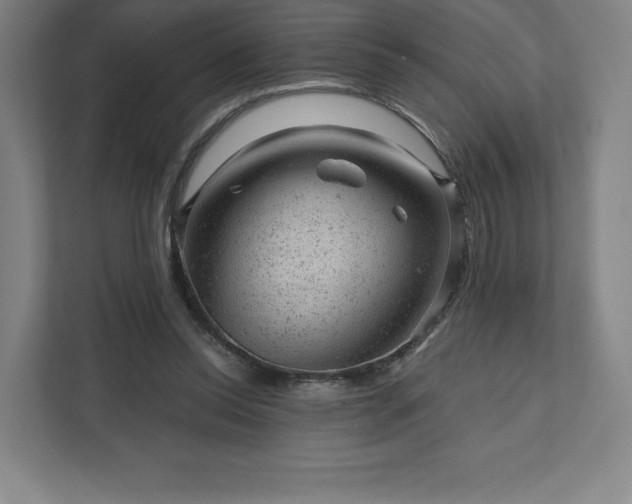 X0000111940350200908031142