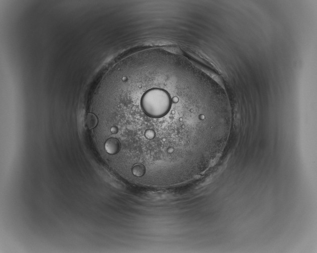 X0000111940351200908031142