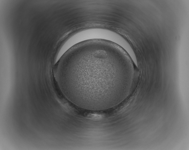 X0000111940352200908031142