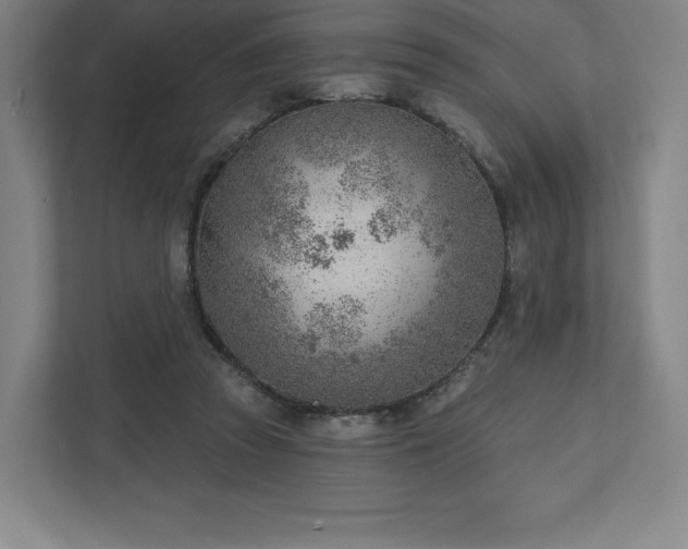 X0000111940353200908031142