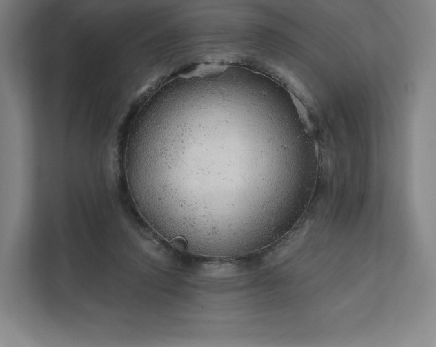 X0000111940354200908031142