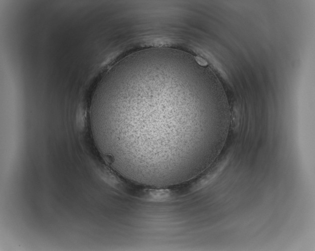 X0000111940355200908031142