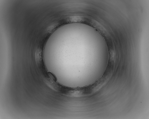 X0000111940356200908031142