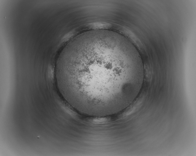 X0000111940357200908031142