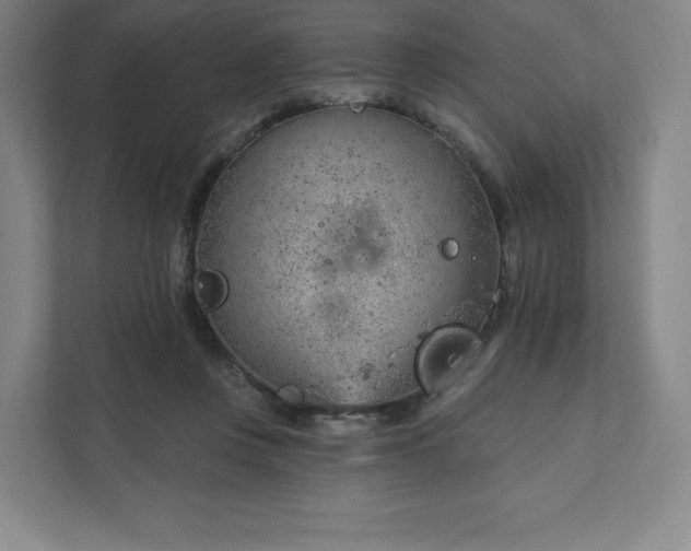 X0000111940359200908031143