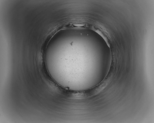 X0000111940362200908031143