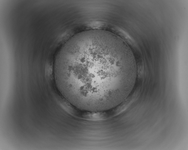 X0000111940365200908031143