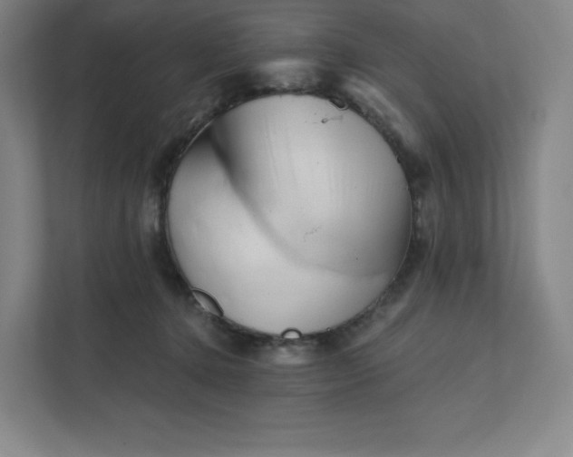 X0000111940368200908031143