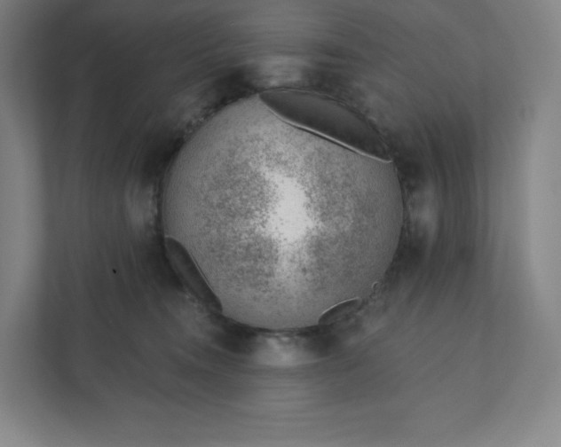 X0000111940372200908031143