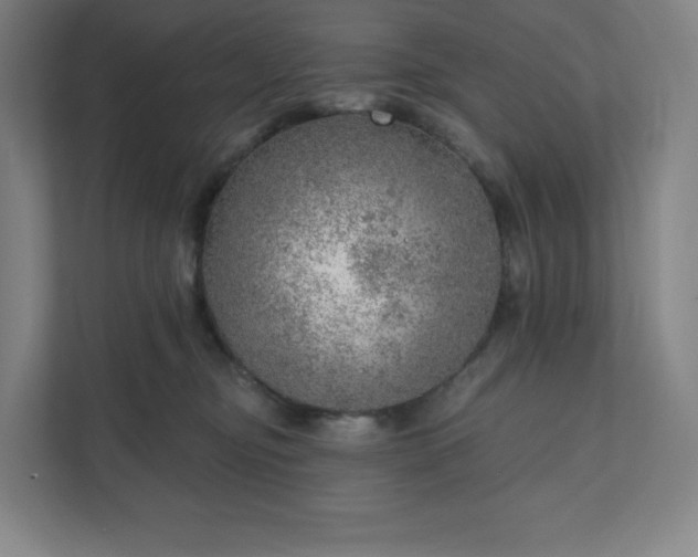 X0000111940374200908031143