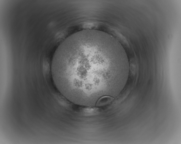 X0000111940375200908031143