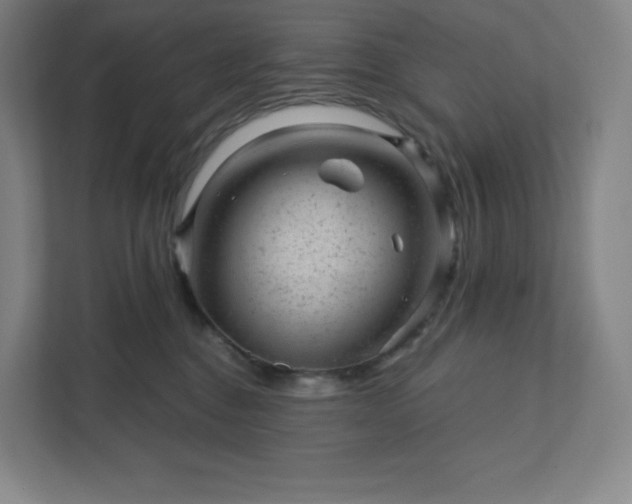 X0000111940376200908031143