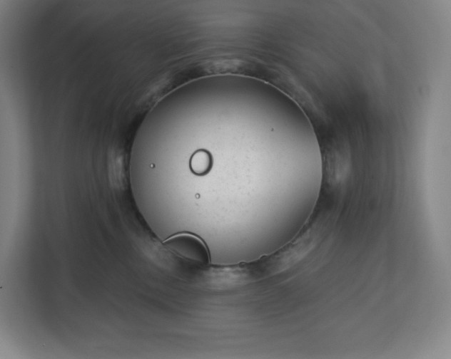 X0000111940378200908031143