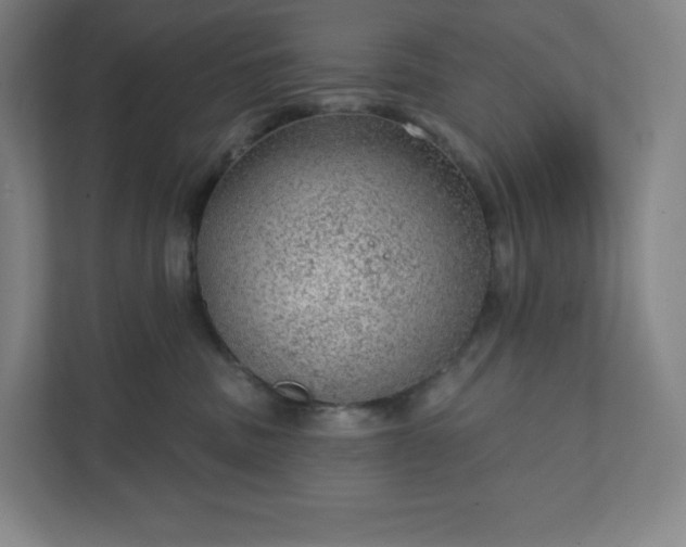 X0000111940379200908031143