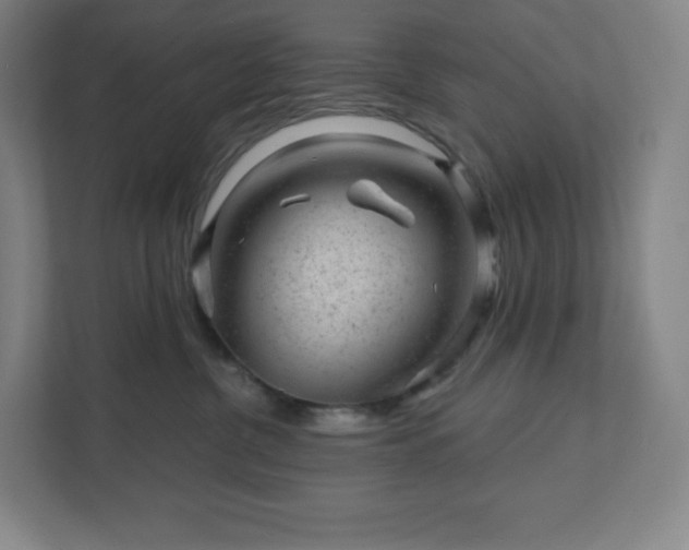 X0000111940380200908031143