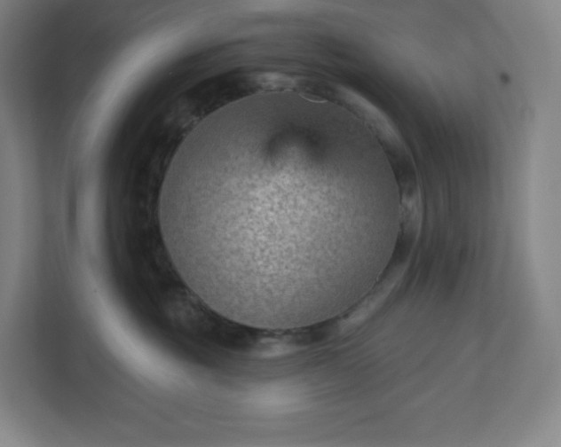 X0000111940381200908031143