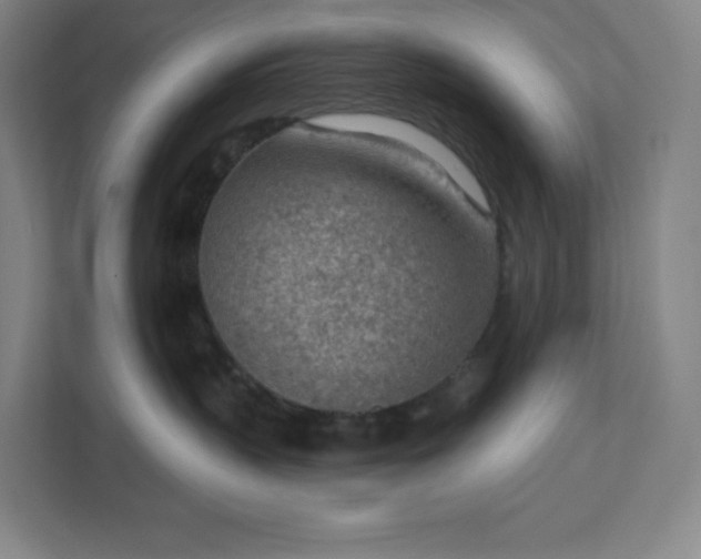 X0000111940383200908031143