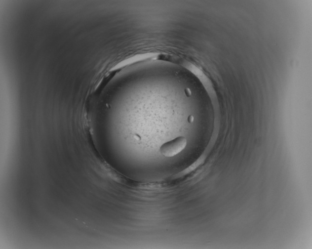 X0000111940384200908031143