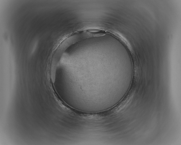 X0000111940385200908031142