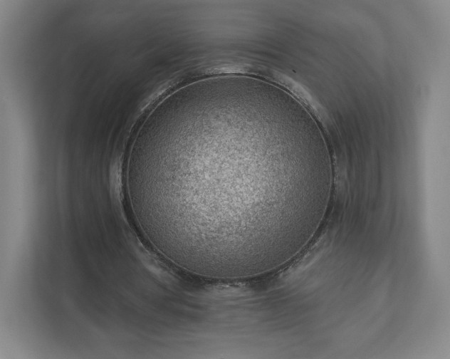 X0000111940386200908031142