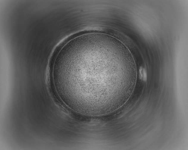 X0000111940388200908031142