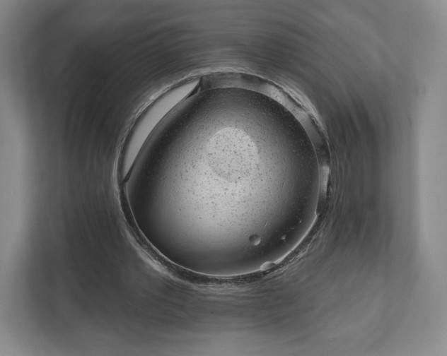 X0000111940389200908031142